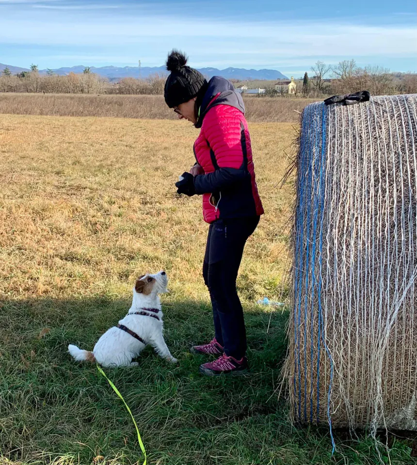 Foto GEM DOG A.S.D.: Allenamento di mantrailing, 4 gennaio 2025, foto 1 di 6