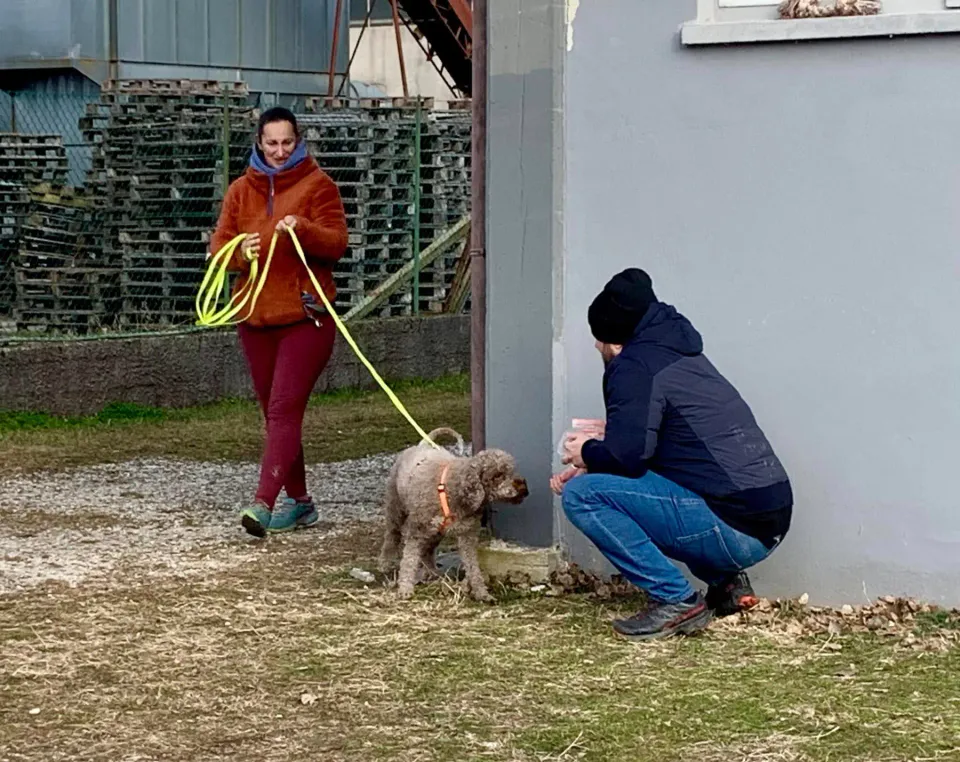 Foto GEM DOG A.S.D.: Giornata di avvicinamento al mantrailing, Leproso, 19 gennaio 2025, foto 1 di 10