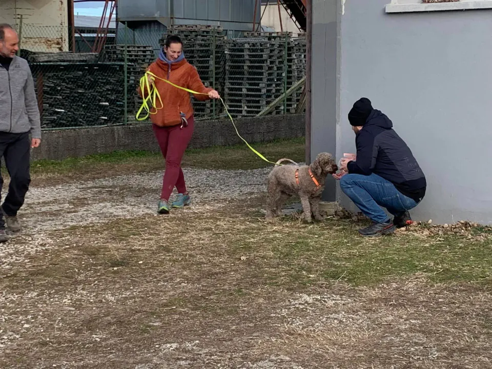 Foto GEM DOG A.S.D.: Giornata di avvicinamento al mantrailing, Leproso, 19 gennaio 2025, foto 2 di 10