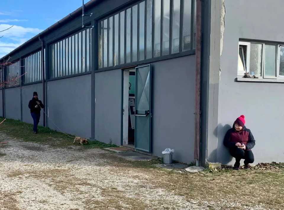 Foto GEM DOG A.S.D.: Giornata di avvicinamento al mantrailing, Leproso, 19 gennaio 2025, foto 3 di 10