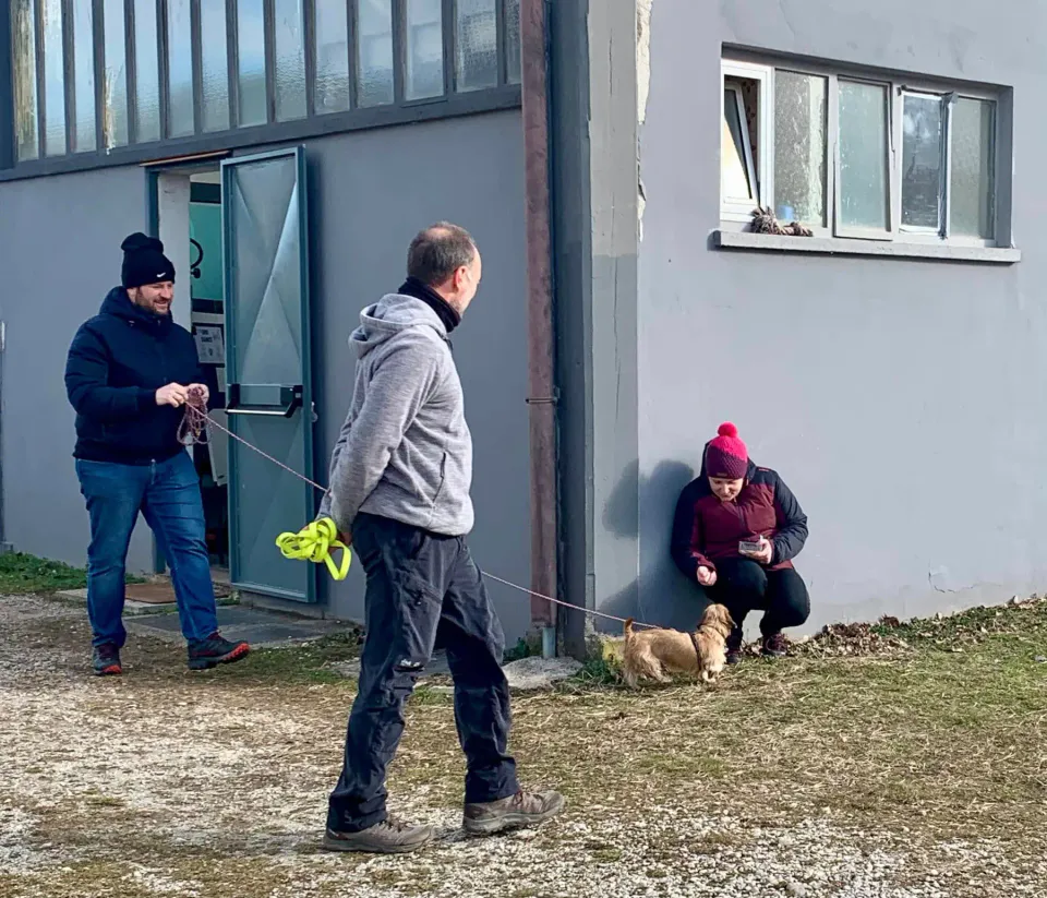 Foto GEM DOG A.S.D.: Giornata di avvicinamento al mantrailing, Leproso, 19 gennaio 2025, foto 4 di 10