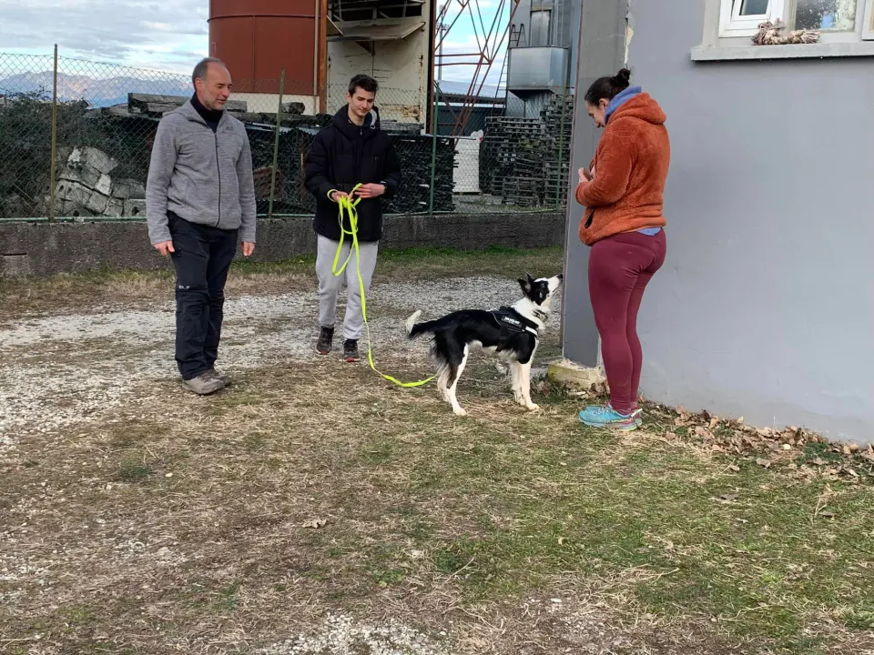 Foto GEM DOG A.S.D.: Giornata di avvicinamento al mantrailing, Leproso, 19 gennaio 2025, foto 6 di 10