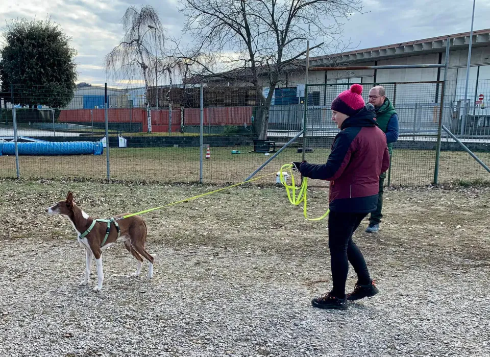 Foto GEM DOG A.S.D.: Giornata di avvicinamento al mantrailing, Leproso, 19 gennaio 2025, foto 7 di 10