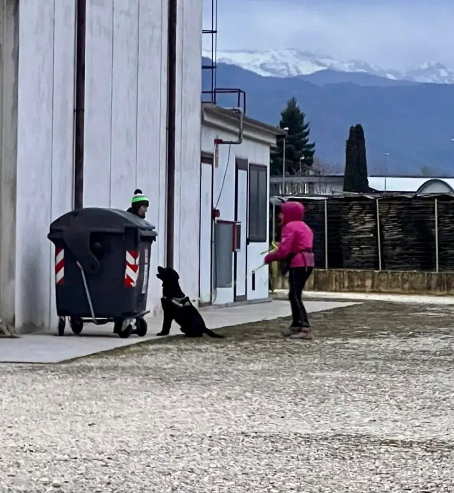 Foto GEM DOG A.S.D.: Giornata di avvicinamento al mantrailing, Leproso, 19 gennaio 2025, foto 9 di 10