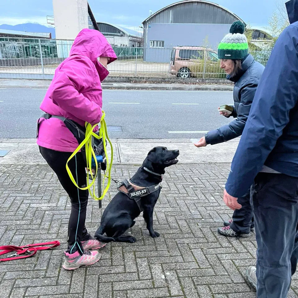 Foto GEM DOG A.S.D.: Giornata di avvicinamento al mantrailing, Leproso, 19 gennaio 2025, foto 10 di 10