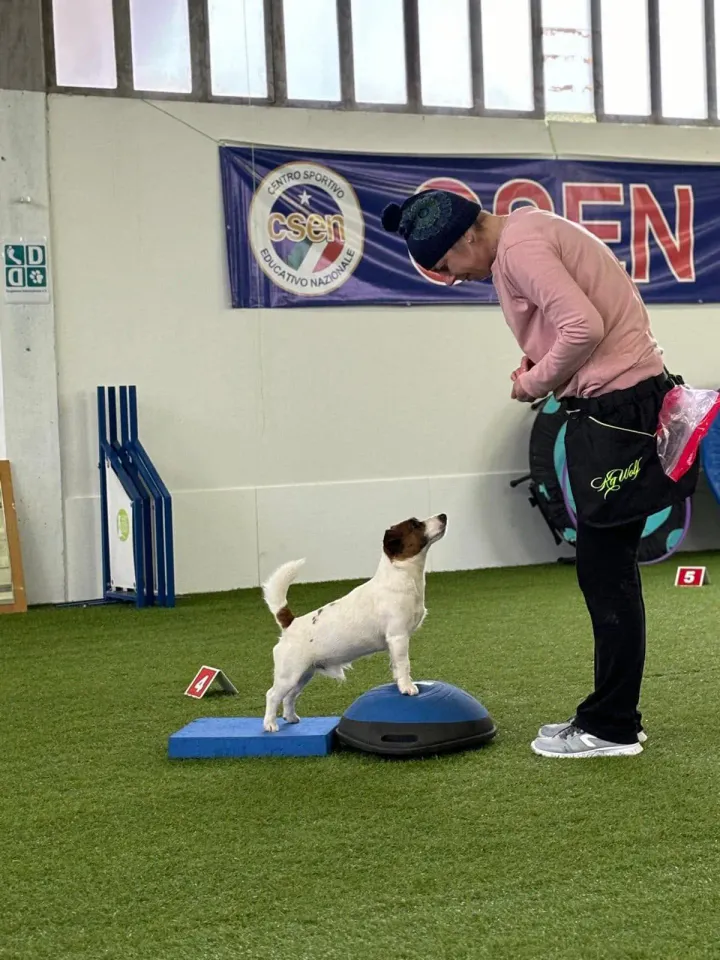 Foto GEM DOG A.S.D.: Allenamento di dog balance, Leproso, 26 gennaio 2025, foto 5 di 9
