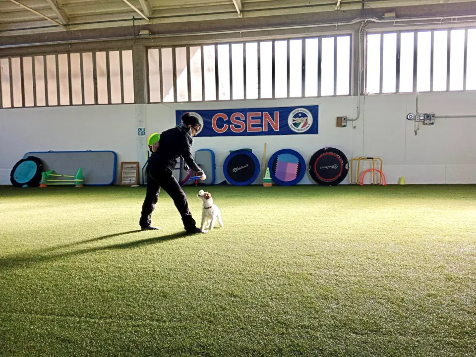 Foto GEM DOG A.S.D.: Allenamento di disc dog, Leproso, 2 febbraio 2025, foto 3 di 6
