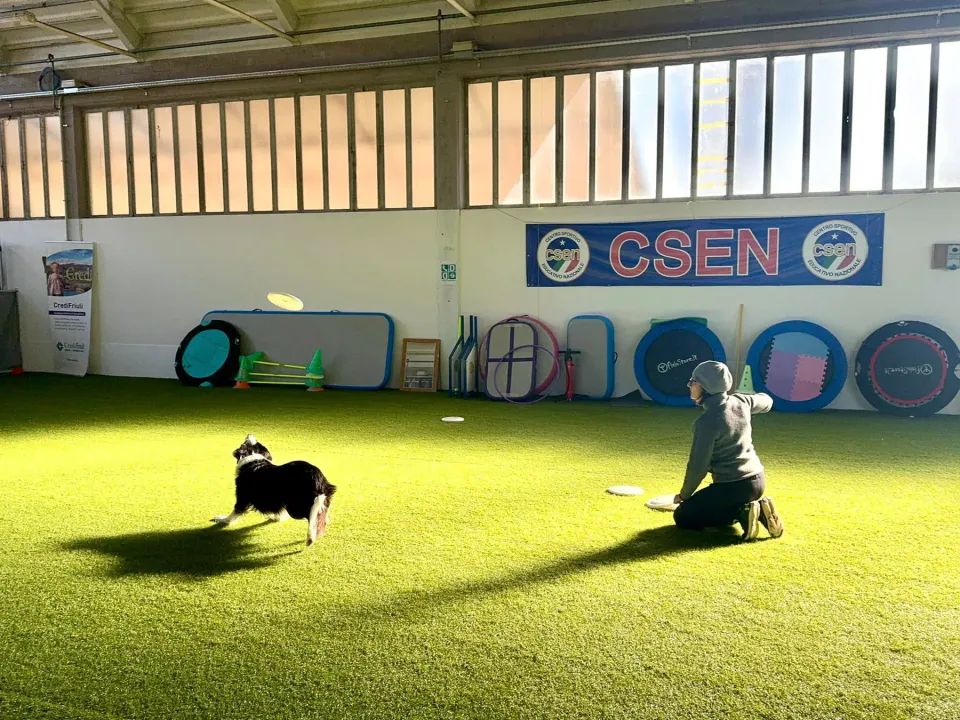 Foto GEM DOG A.S.D.: Allenamento di disc dog, Leproso, 2 febbraio 2025, foto 6 di 6