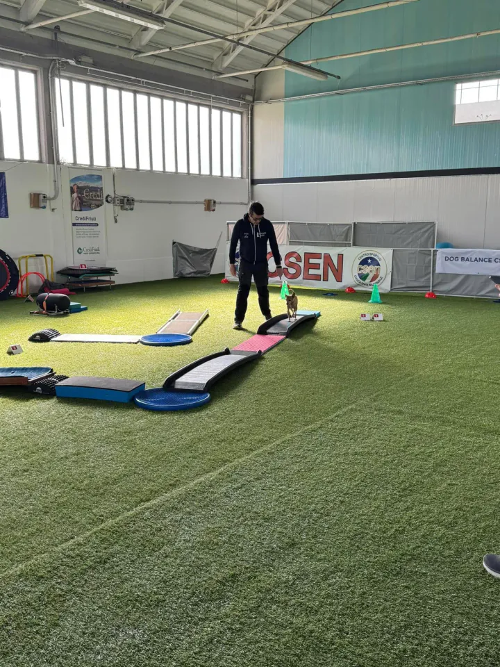 Foto GEM DOG A.S.D.: Gara di dog balance CSEN, Leproso, 16 febbraio 2025, foto 3 di 3