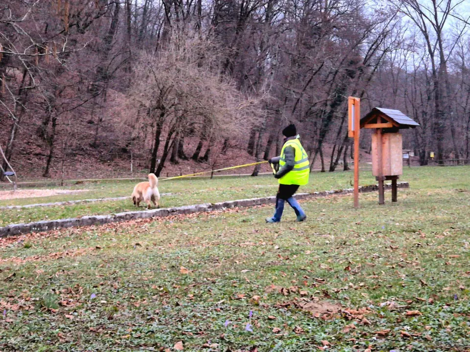Foto GEM DOG A.S.D.: Allenamento di mantrailing, 22 febbraio 2025, foto 1 di 8