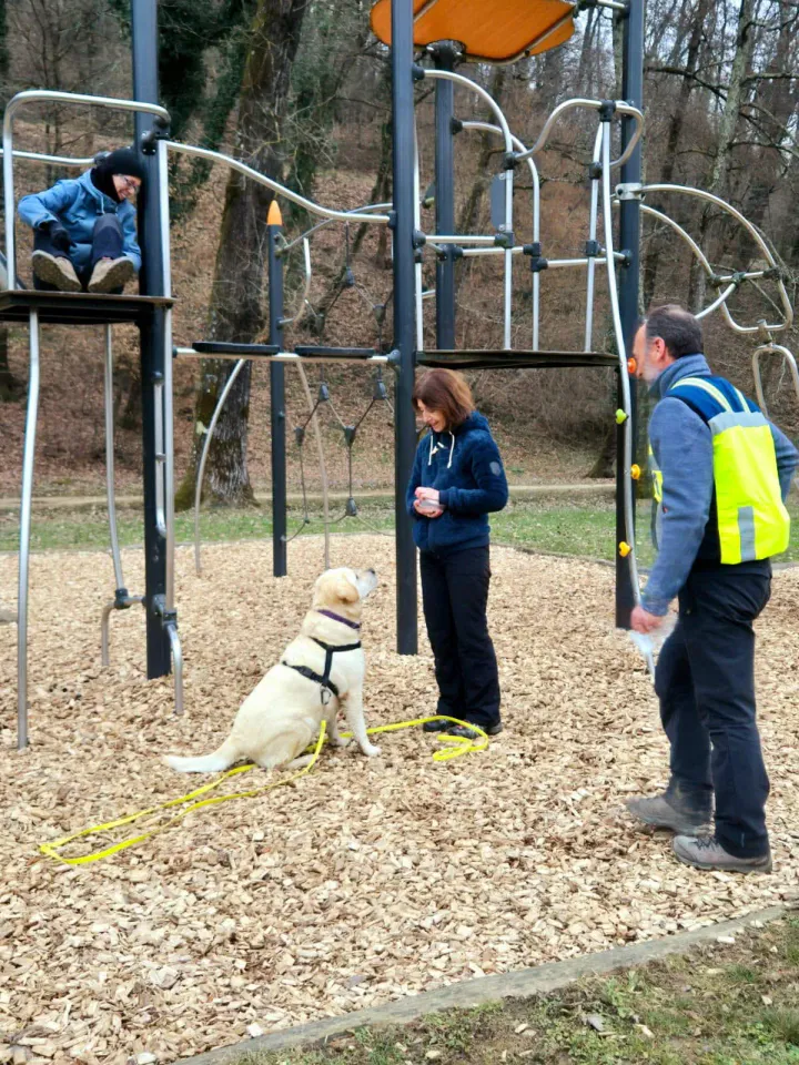 Foto GEM DOG A.S.D.: Allenamento di mantrailing, 22 febbraio 2025, foto 2 di 8