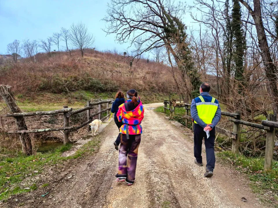 Foto GEM DOG A.S.D.: Allenamento di mantrailing, 22 febbraio 2025, foto 5 di 8