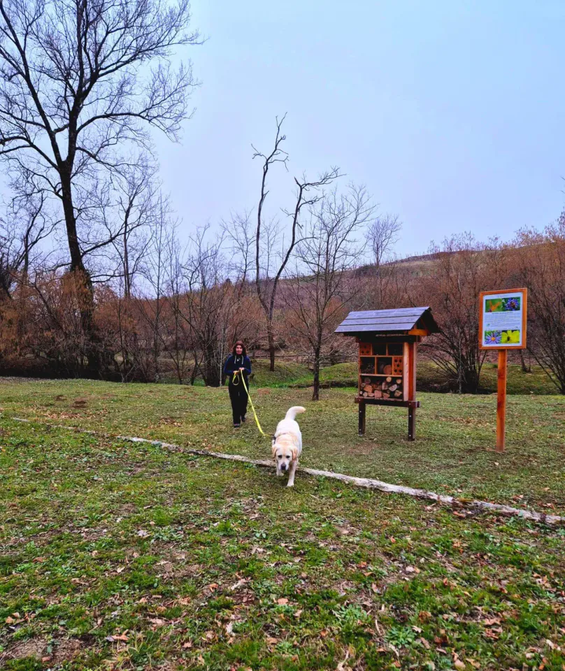 Foto GEM DOG A.S.D.: Allenamento di mantrailing, 22 febbraio 2025, foto 6 di 8