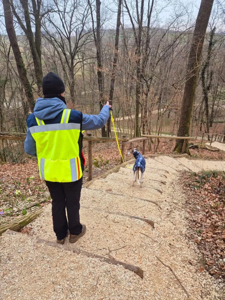 Foto GEM DOG A.S.D.: Allenamento di mantrailing, 22 febbraio 2025, foto 7 di 8