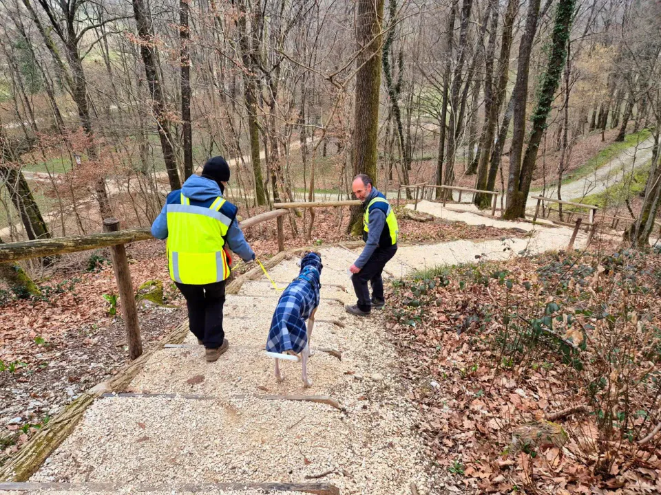 Foto GEM DOG A.S.D.: Allenamento di mantrailing, 22 febbraio 2025, foto 8 di 8