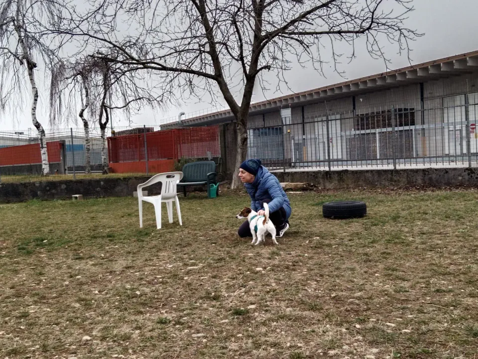 Foto GEM DOG A.S.D.: Chi ri-cerca trova, giochi di fiuto, Leproso, 23 febbraio 2025, foto 2 di 52