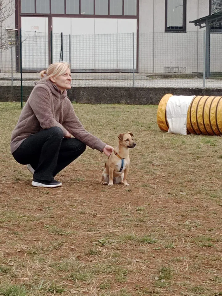 Foto GEM DOG A.S.D.: Chi ri-cerca trova, giochi di fiuto, Leproso, 23 febbraio 2025, foto 3 di 52