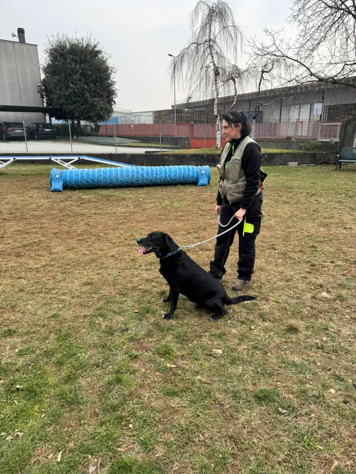 Foto GEM DOG A.S.D.: Chi ri-cerca trova, giochi di fiuto, Leproso, 23 febbraio 2025, foto 6 di 52