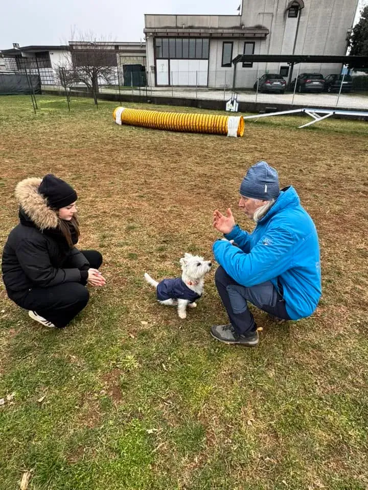 Foto GEM DOG A.S.D.: Chi ri-cerca trova, giochi di fiuto, Leproso, 23 febbraio 2025, foto 15 di 52