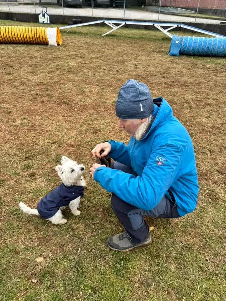 Foto GEM DOG A.S.D.: Chi ri-cerca trova, giochi di fiuto, Leproso, 23 febbraio 2025, foto 16 di 52