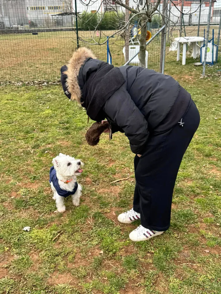 Foto GEM DOG A.S.D.: Chi ri-cerca trova, giochi di fiuto, Leproso, 23 febbraio 2025, foto 17 di 52