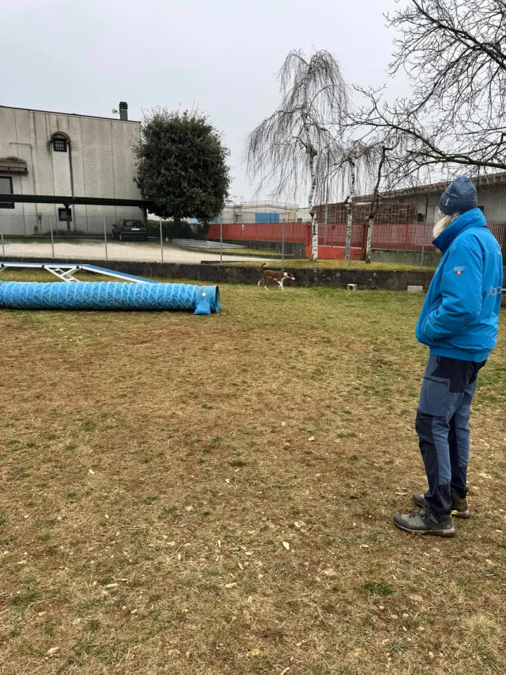 Foto GEM DOG A.S.D.: Chi ri-cerca trova, giochi di fiuto, Leproso, 23 febbraio 2025, foto 25 di 52