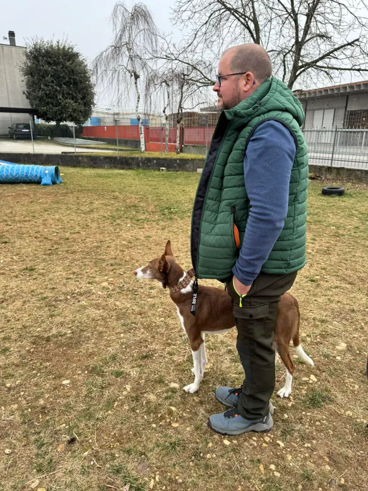 Foto GEM DOG A.S.D.: Chi ri-cerca trova, giochi di fiuto, Leproso, 23 febbraio 2025, foto 27 di 52