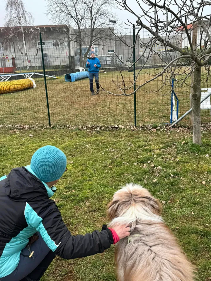 Foto GEM DOG A.S.D.: Chi ri-cerca trova, giochi di fiuto, Leproso, 23 febbraio 2025, foto 46 di 52