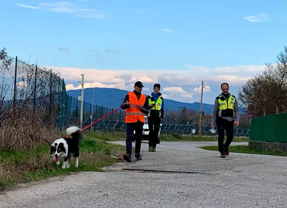 Foto GEM DOG A.S.D.: Allenamento di mantrailing, 1 marzo 2025, foto 3 di 36