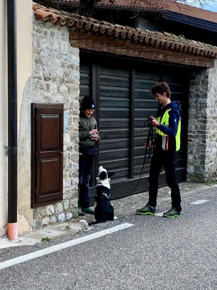 Foto GEM DOG A.S.D.: Allenamento di mantrailing, 1 marzo 2025, foto 5 di 36