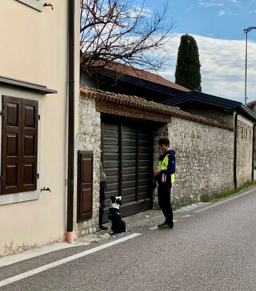 Foto GEM DOG A.S.D.: Allenamento di mantrailing, 1 marzo 2025, foto 6 di 36