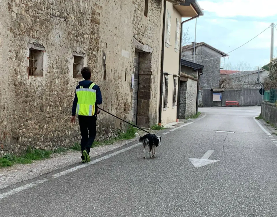 Foto GEM DOG A.S.D.: Allenamento di mantrailing, 1 marzo 2025, foto 7 di 36