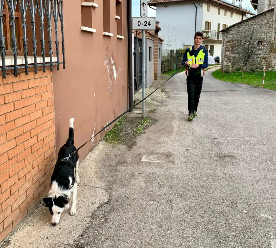 Foto GEM DOG A.S.D.: Allenamento di mantrailing, 1 marzo 2025, foto 8 di 36