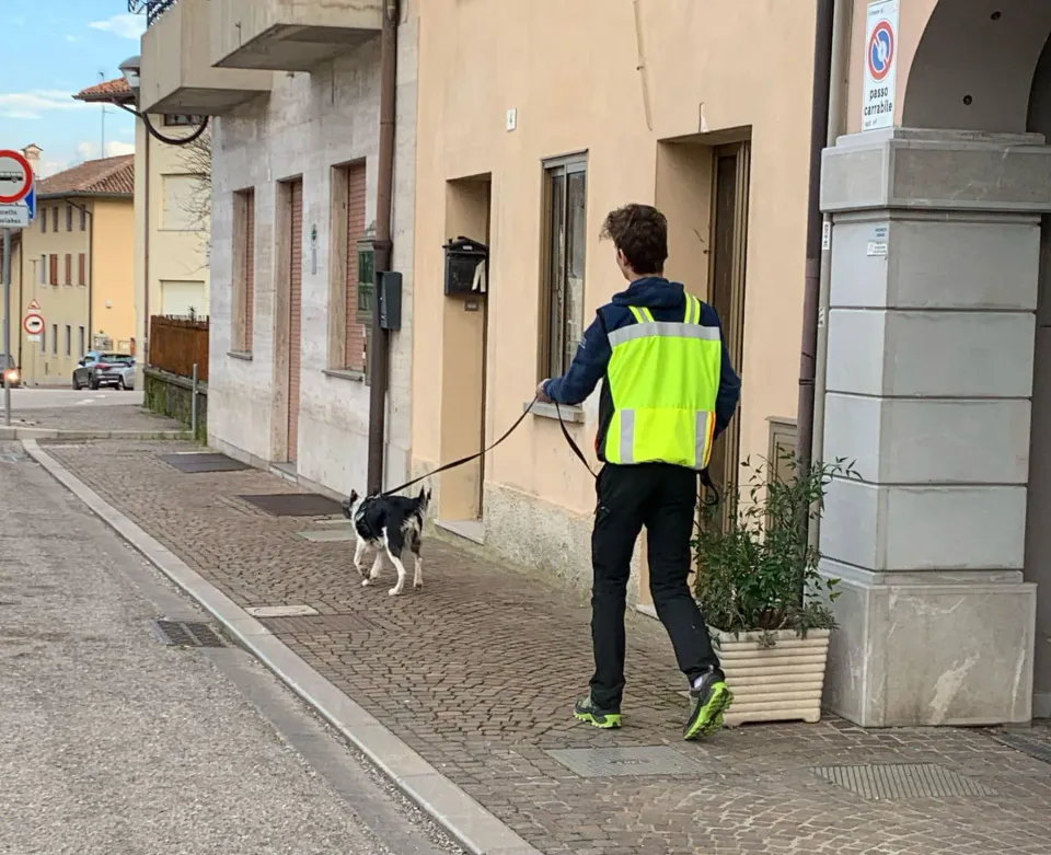 Foto GEM DOG A.S.D.: Allenamento di mantrailing, 1 marzo 2025, foto 9 di 36