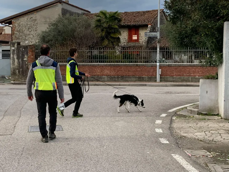 Foto GEM DOG A.S.D.: Allenamento di mantrailing, 1 marzo 2025, foto 10 di 36