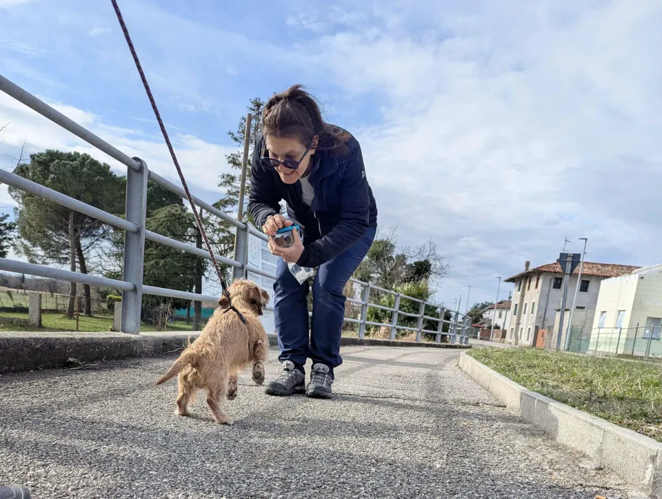 Foto GEM DOG A.S.D.: Allenamento di mantrailing, 1 marzo 2025, foto 13 di 36