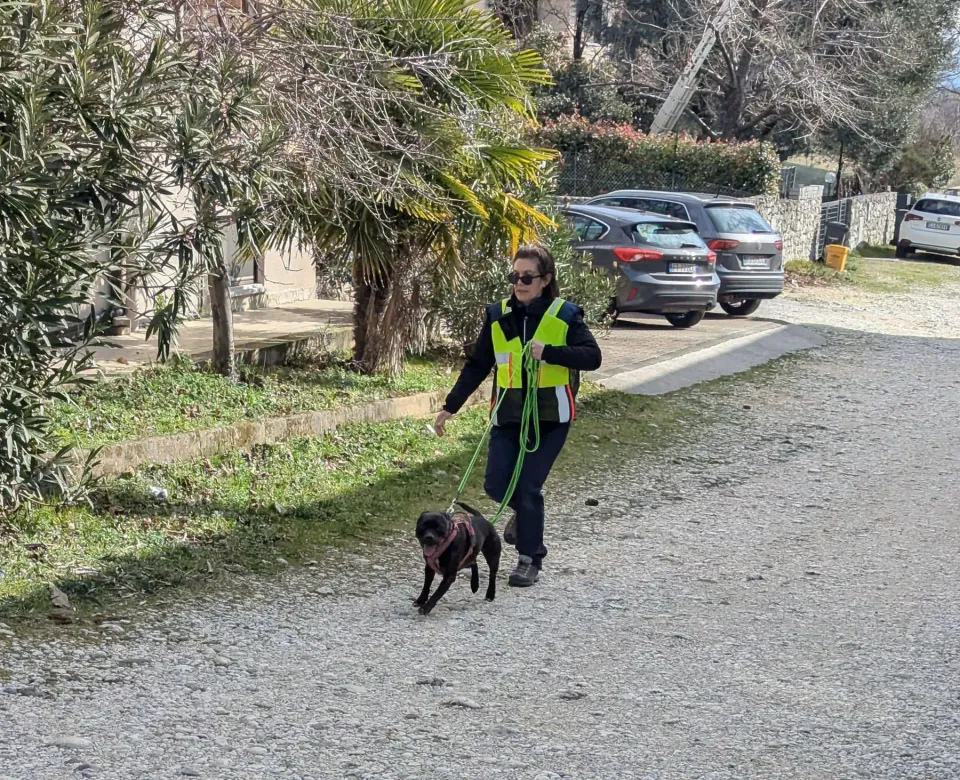 Foto GEM DOG A.S.D.: Allenamento di mantrailing, 1 marzo 2025, foto 17 di 36
