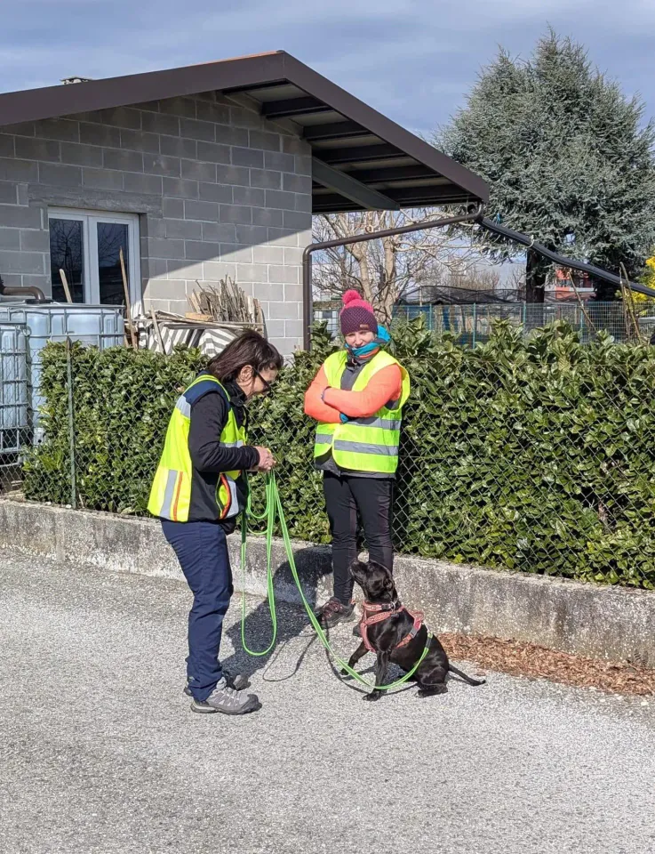 Foto GEM DOG A.S.D.: Allenamento di mantrailing, 1 marzo 2025, foto 18 di 36