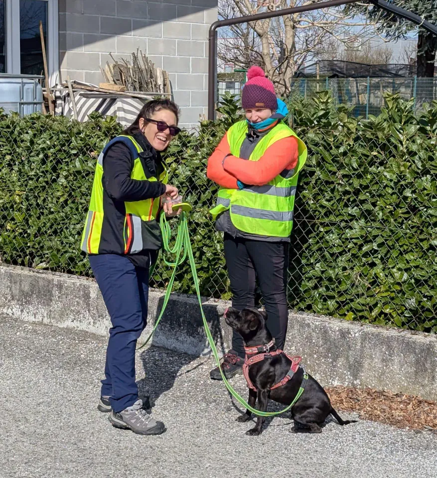 Foto GEM DOG A.S.D.: Allenamento di mantrailing, 1 marzo 2025, foto 20 di 36