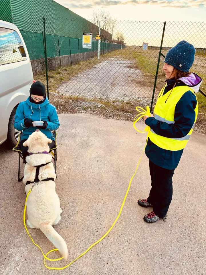 Foto GEM DOG A.S.D.: Allenamento di mantrailing, 1 marzo 2025, foto 25 di 36