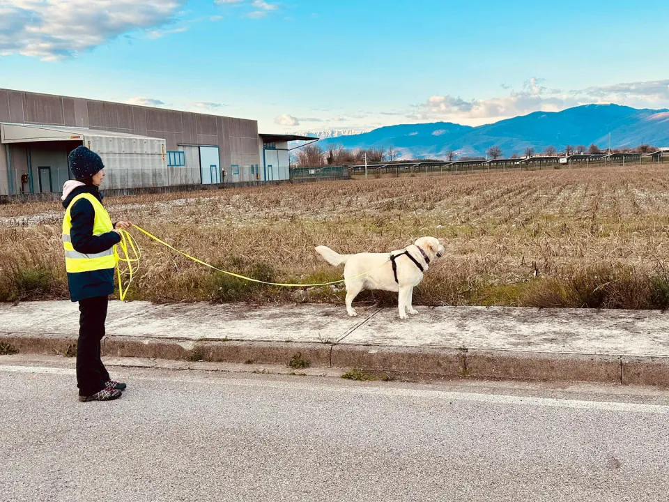 Foto GEM DOG A.S.D.: Allenamento di mantrailing, 1 marzo 2025, foto 27 di 36