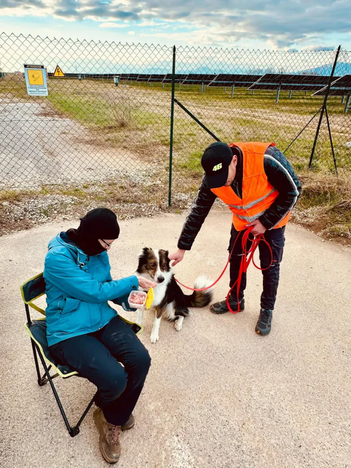 Foto GEM DOG A.S.D.: Allenamento di mantrailing, 1 marzo 2025, foto 28 di 36