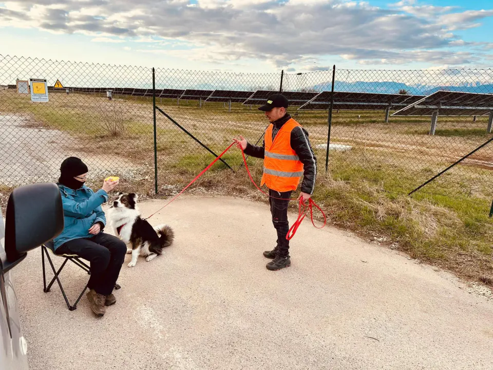 Foto GEM DOG A.S.D.: Allenamento di mantrailing, 1 marzo 2025, foto 29 di 36