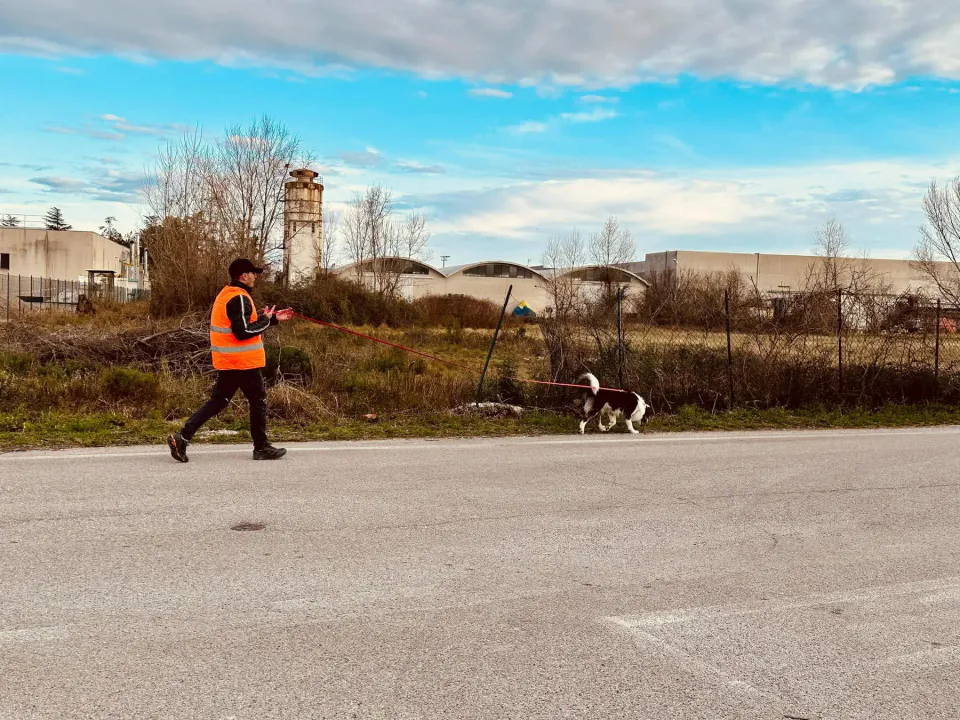 Foto GEM DOG A.S.D.: Allenamento di mantrailing, 1 marzo 2025, foto 31 di 36
