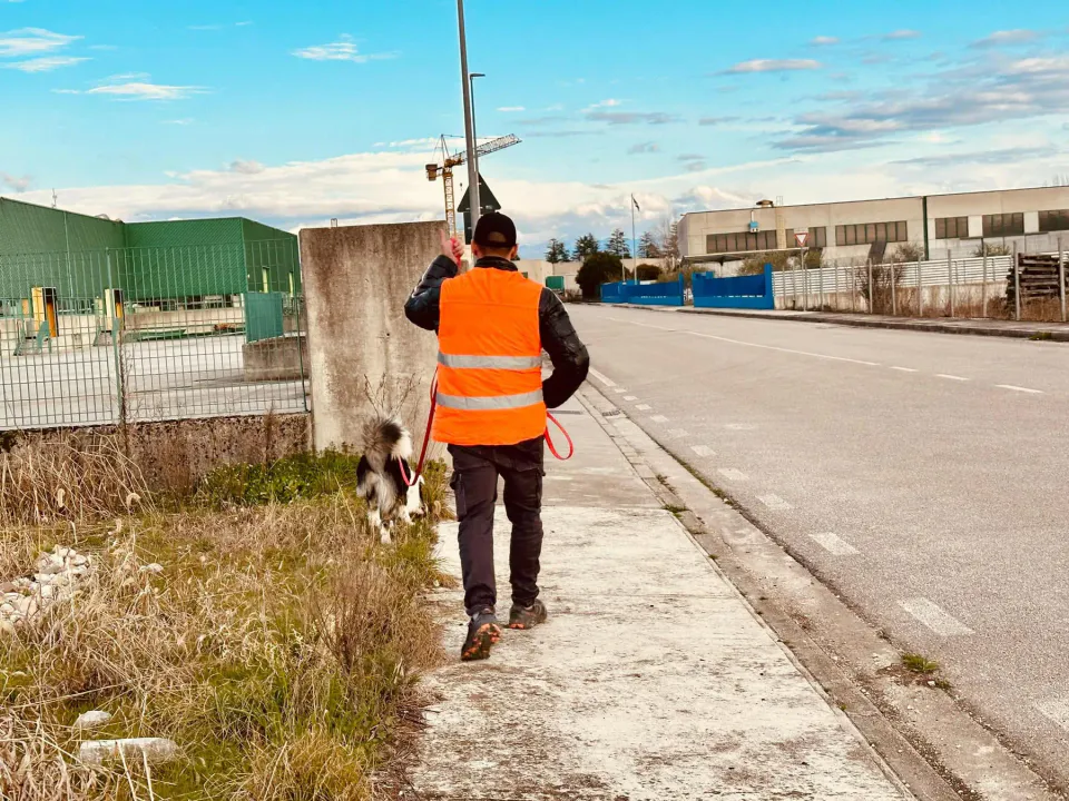 Foto GEM DOG A.S.D.: Allenamento di mantrailing, 1 marzo 2025, foto 32 di 36