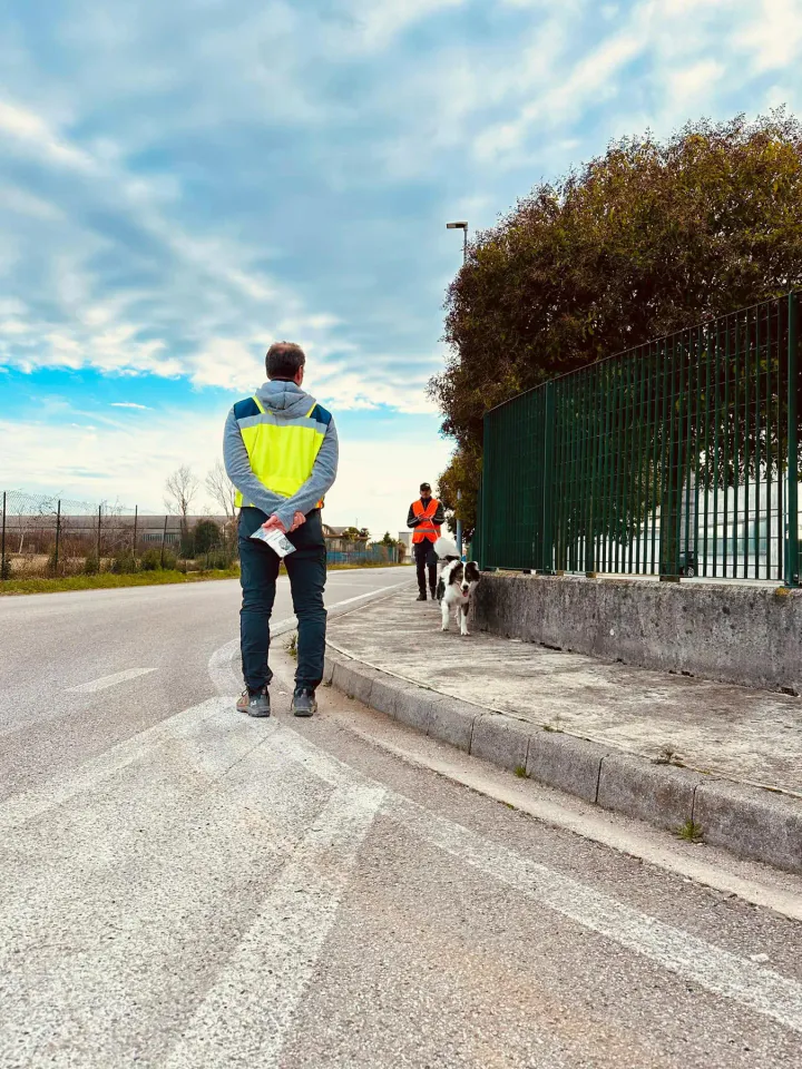 Foto GEM DOG A.S.D.: Allenamento di mantrailing, 1 marzo 2025, foto 33 di 36
