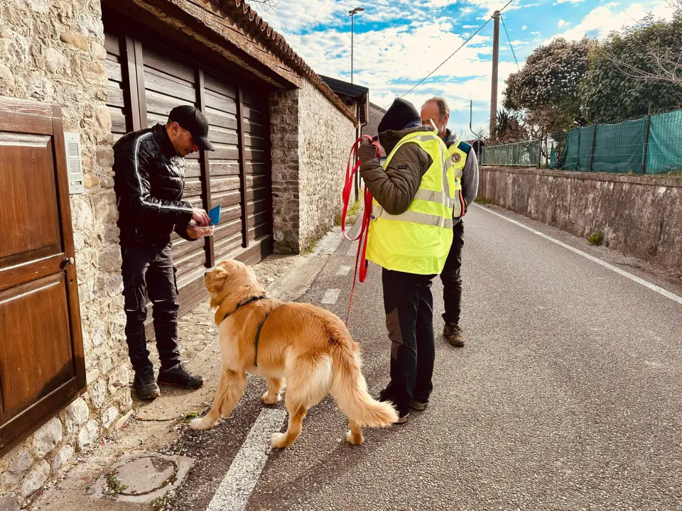 Foto GEM DOG A.S.D.: Allenamento di mantrailing, 1 marzo 2025, foto 34 di 36