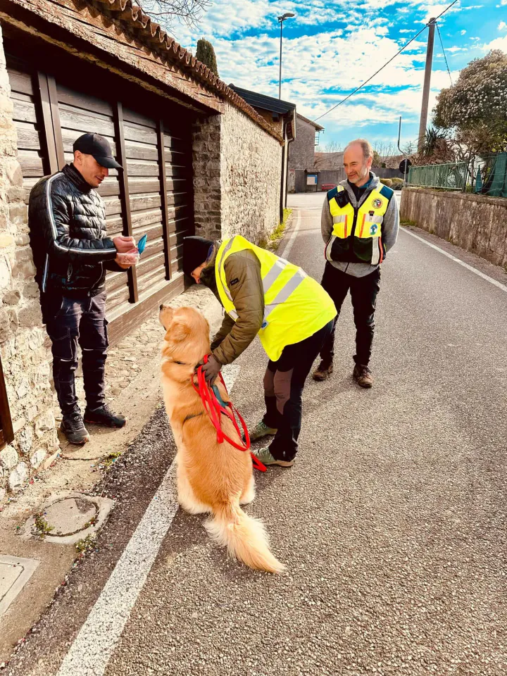Foto GEM DOG A.S.D.: Allenamento di mantrailing, 1 marzo 2025, foto 36 di 36