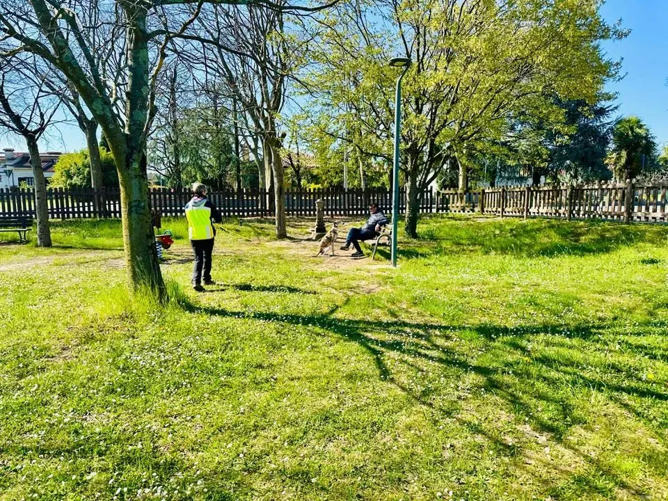 Foto GEM DOG A.S.D.: Allenamento di mantrailing, 5 aprile 2025, foto 3 di 6