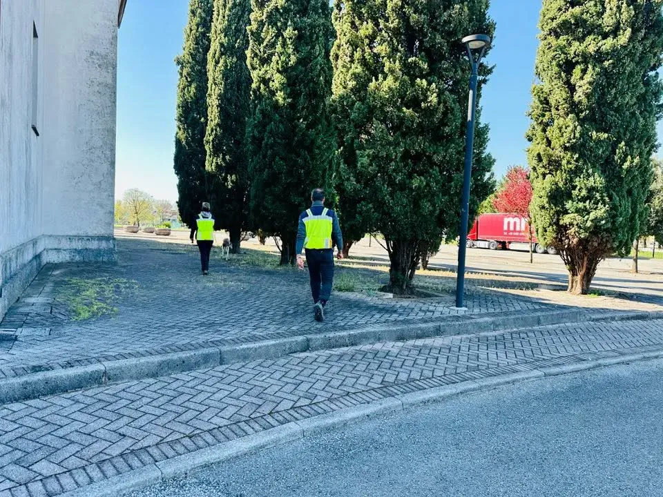 Foto GEM DOG A.S.D.: Allenamento di mantrailing, 5 aprile 2025, foto 6 di 6